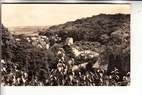 0-1312 FALKENBERG / Mark, Gesamtanasicht, Post. Verzögerungsvermerk