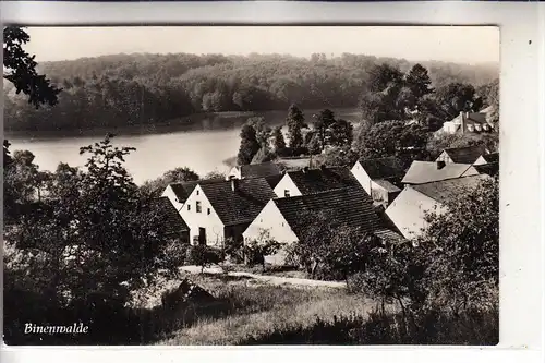 0-1950 NEURUPPIN - BINENWALDE, Ortsansicht, 1960