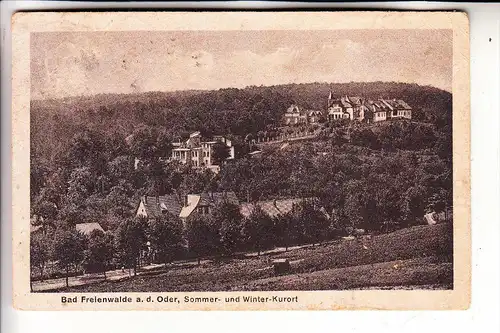 0-1310 BAD FREIENWALDE, Panorama, 192.., kleiner Einriss