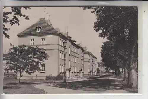 0-1260 STRAUSBERG, Wriezener Strasse, Neubauten, 1963