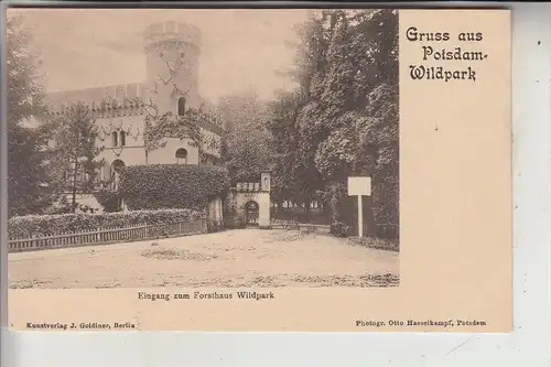 0-1500 POTSDAM, Wildpark, Eingang zum Forsthaus, frühe Karte - ungeteilte Rückseite