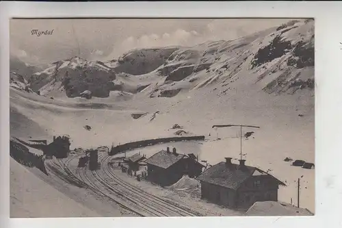 N - 5718 MYRDAL, Bahnhof - Station - La Gare - Jernebanestasjon