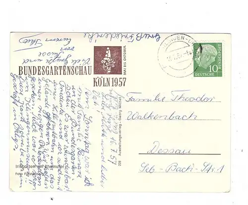 5000 KÖLN - DEUTZ, BUGA 1957, Irisgarten am Rheinufer