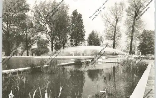 5000 KÖLN - DEUTZ, Bundesgartenschau 1957, Blumenbecken mit Wasserspiel