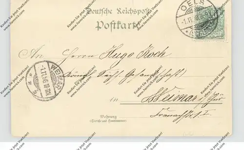 NIEDER-SCHLESIEN - OELS / OLESNICA, Lithographie 1898, Hotel goldener Adler, Gasthaus Lachmann, Post, Landgericht...