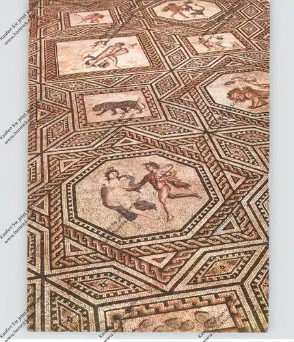 5000 KÖLN, Römisch-Germanisches Museum, Dionysos-Mosaik