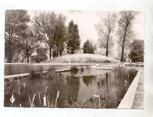 5000  KÖLN - DEUTZ, Bundesgartenschau 1957, Blumenbecken mit Wasserspiel