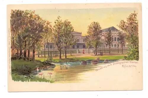 5000 KÖLN, ZOO, Lithographie, Flamingoteich