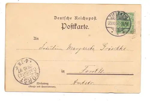 NEUMARK - ZIELENZIG / SULECIN, Lithographie 1897, Druckstelle