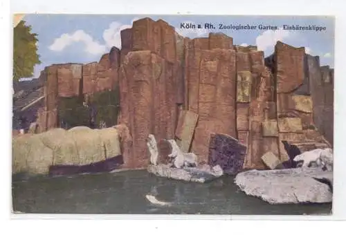 5000 KÖLN, KÖLNER ZOO, Eisbärenklippe, kleiner Eckfehler