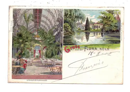 5000 KÖLN, FLORA, Lithographie 1902, Interieur des Palmenhauses, Weiher in Wellingtonia