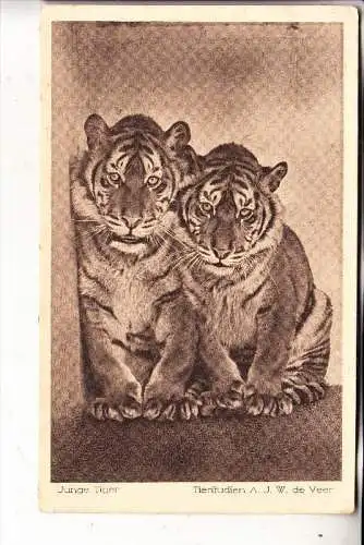 5000 KÖLN, KÖLNER ZOO, Tiger, Zoo-Photograph de Veer