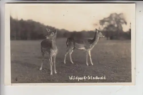 5000 KÖLN - LINDENTHAL, Stadtpark, Wildpark