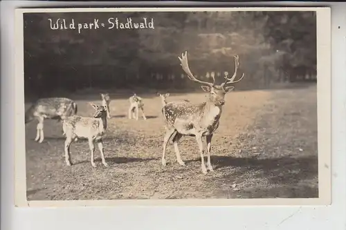 5000 KÖLN - LINDENTHAL, Stadtpark, Wildpark