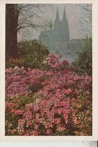 5000 KÖLN, EREIGNIS, Bundesgartenschau 1957, Nr. 61