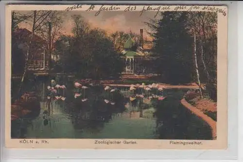 5000 KÖLN, KÖLNER ZOO - Flamingoweiher 1922