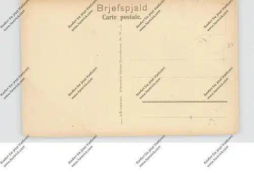 ISLAND / ICELAND - Heylest, Heutransport per Pferd