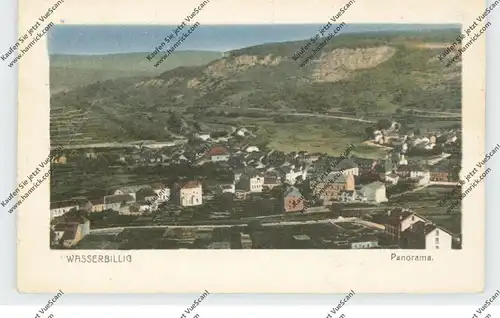 L 6630 WASSERBILLIG, Panorama, 1925, Brfm. entfernt