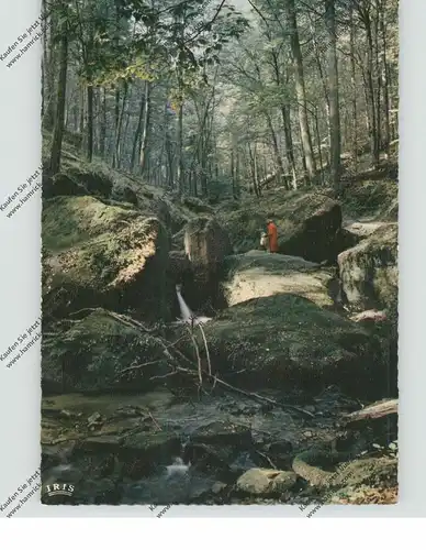 L 6570 HALLER, Hallerbach