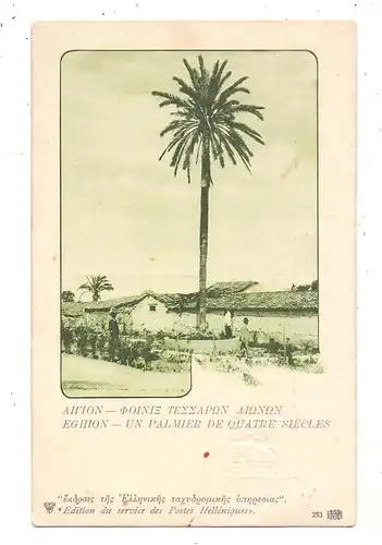 GR 25000 EGIO / EGHION, Un Palmier de quattre siecle, postal stationery / Ganzsache