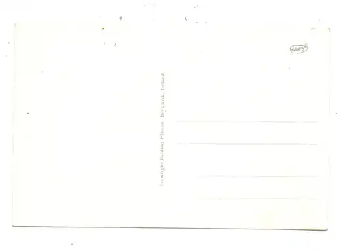 ISLAND - REYKJAVIK, Panorama mit Hafen