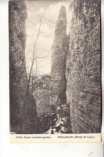 L 6400 ECHTERNACH, Luxemburger Schweiz, Wolfsschlucht, Bernhoeft - Lux.