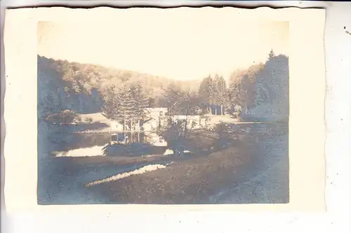 L 7680 WALDBILLIG - FRECKEISEN, Photo-AK