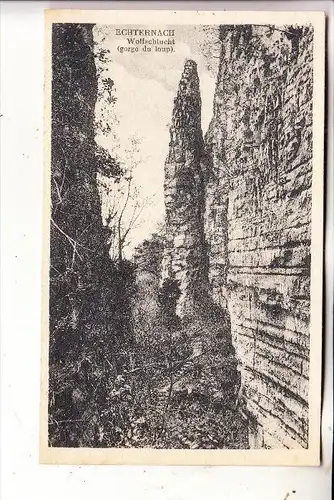 L 6400 ECHTERNACH, Luxemburger Schweiz, Wolfschlucht, Bellwald
