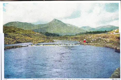 EIRE / IRLAND - GALWAY, Connemara, Ballynahinch River