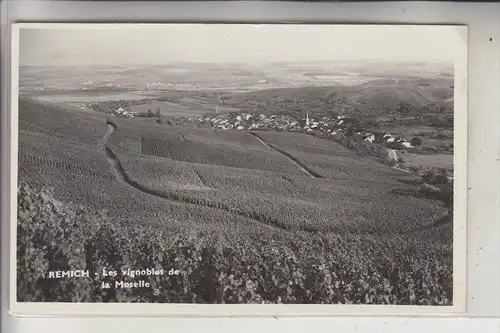 L 5500 REMICH, Weinberge an der Mosel