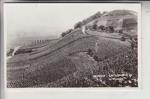 L 5500 REMICH, Weinanbau