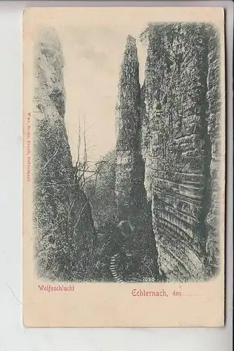 L 6400 ECHTERNACH, Wolfsschlucht / RELIEF-Karte, frühe Karte - ungeteilte Rückseite