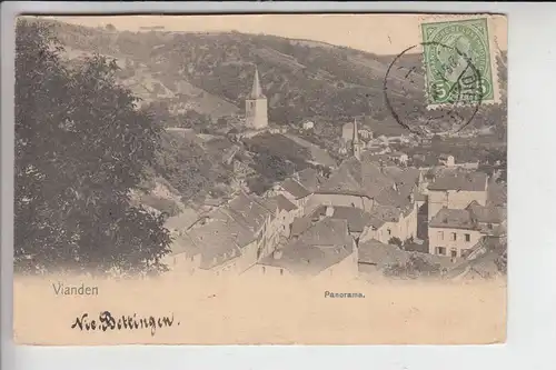 L 9400 VIANDEN, Panorama 1905, NELS Metz, Serie 11, No. 30