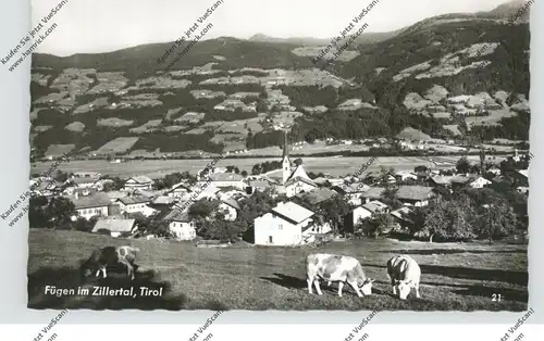 A 6263 FÜGEN / Zillertal, Ortsansicht mit Kühen