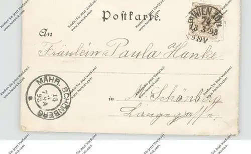 A 1000 WIEN, Lithographie 1898, Haus der Wiener Mode, Stephansdom