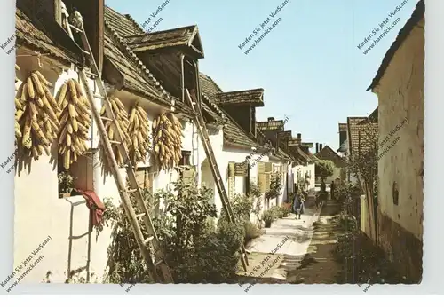 A 7072 MÖRBISCH, Hofgasse