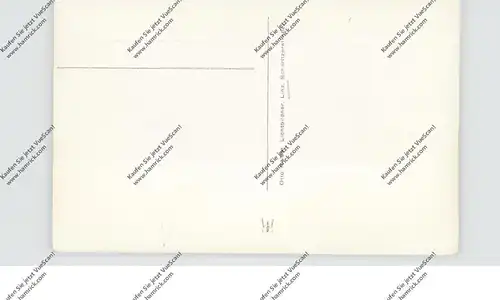 A 3620 SPITZ, Ruine Hinterhaus