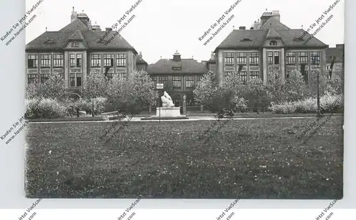 A 1000 WIEN, Allgemeine Volksschule der Stadt Wien, Photo-AK