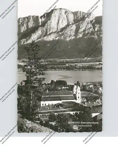 A 5310 MONDSEE, Ansicht mit Drachenwand