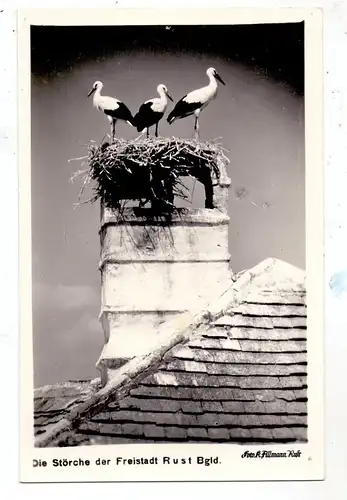 A 7071 RUST, Störche