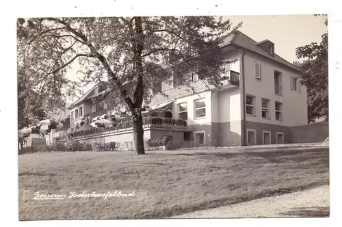 A 4822 BAD GOISERN, Jodschwefelbad, 1954