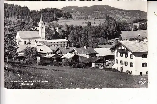 A 5622 GOLDEGG, Ortsansicht, 1964