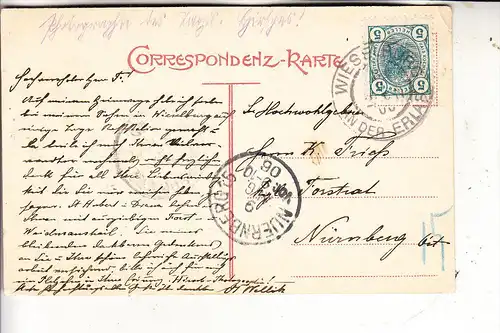 A 3250 WIESELBURG, Ortsansicht, 1906, kl. Druckstelle, eine Ecke leicht berieben
