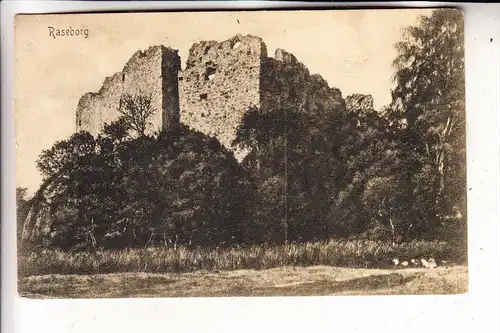 SF 10600 RASEBORG / Uusimaa, Linna, 1907