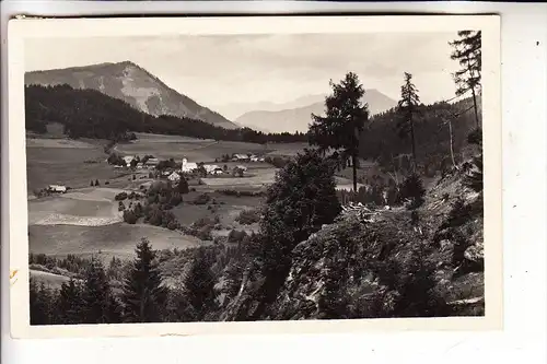 A 8820 NEUMARKT - PÖLLAU, Panorama