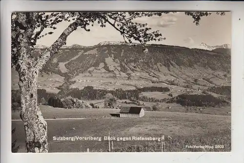 A 6934 SULZBERG, Blick gegen Riefensberg