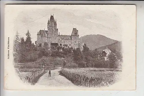 A 5671 BRUCK an der Großglocknerstrasse, Schloss Fischhorn, ohne rücks, AK-Einteilung