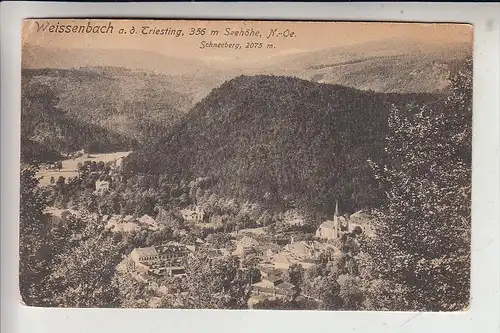 A 2564 WEISSENBACH an der Triesting, Ortsansicht, 1921