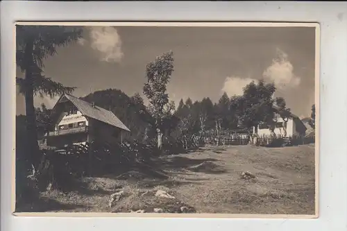 A 6166 FULPMES, Froneben Alm, 1921