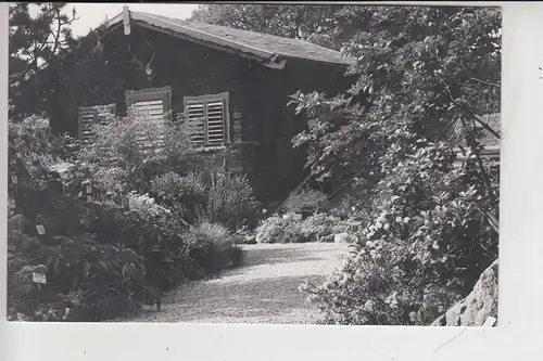 A 1000 WIEN 3, Verwaltung der Bundesgärten , Alpengarten im Belvedere